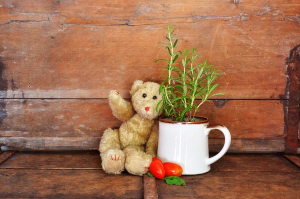 Vintage teddy bear — Stock Photo, Image