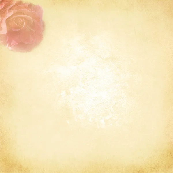 粉色玫瑰背景 — 图库照片#