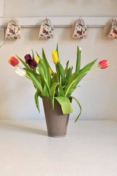 Tulipes intérieures — Photo