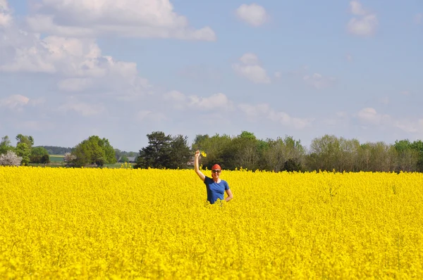 Happy rape field — Stock Photo, Image