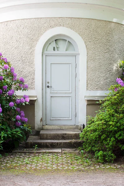 Древняя Белая Дверь Окружении Рододендрона — стоковое фото