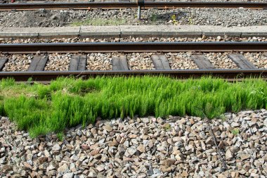 Baharda yeşil çimenli tren yolu.