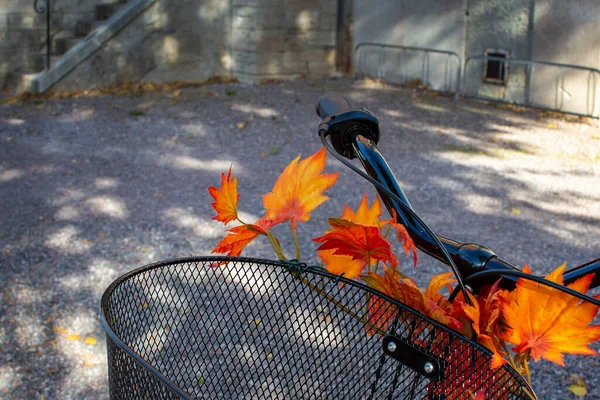 Bicycle Basket Autumn Leaves Bright Colors — Stock Photo, Image