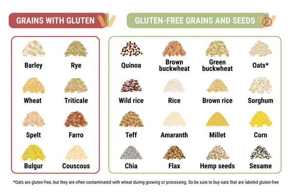 Gluten Free Containing Gluten Grains Infographic Healthy Unhealthy Grains Seeds — Stock Vector