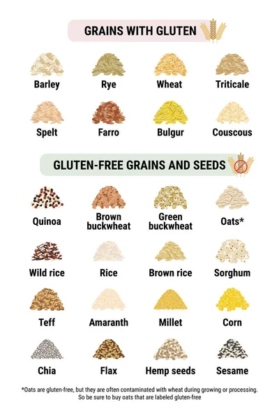 Gluten Free Containing Gluten Grains Infographic Healthy Unhealthy Grains Seeds — Stock Vector