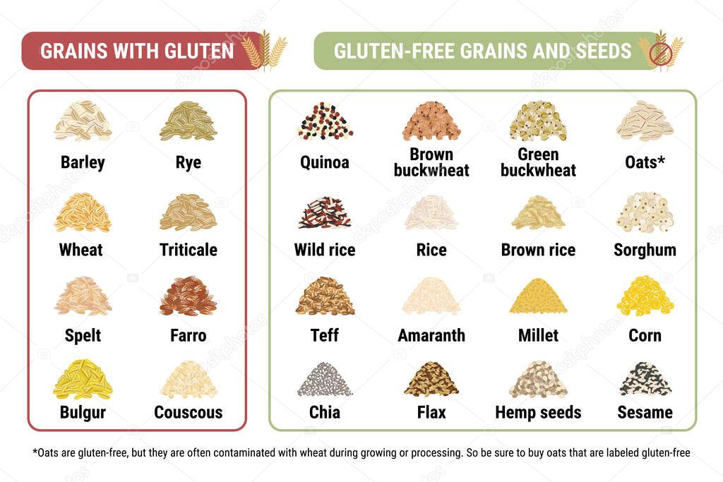 Gluten-free and containing gluten grains infographic. Healthy and unhealthy grains and seeds by celiac disease. Horizontal format. Wheat, barley, rye and triticale. Hand drawn vector illustration