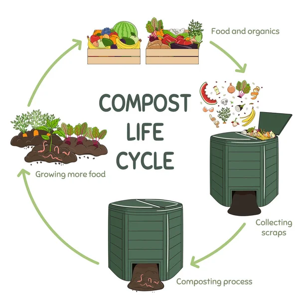 Infografica Del Cerchio Vita Del Compost Processo Compostaggio Schema Riciclaggio — Vettoriale Stock