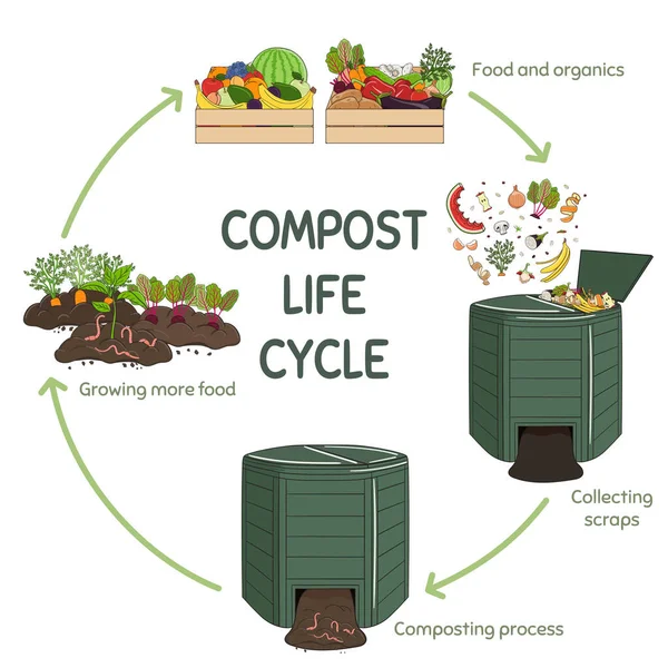 Infographie Cercle Vie Compost Processus Compostage Schéma Recyclage Des Déchets — Image vectorielle