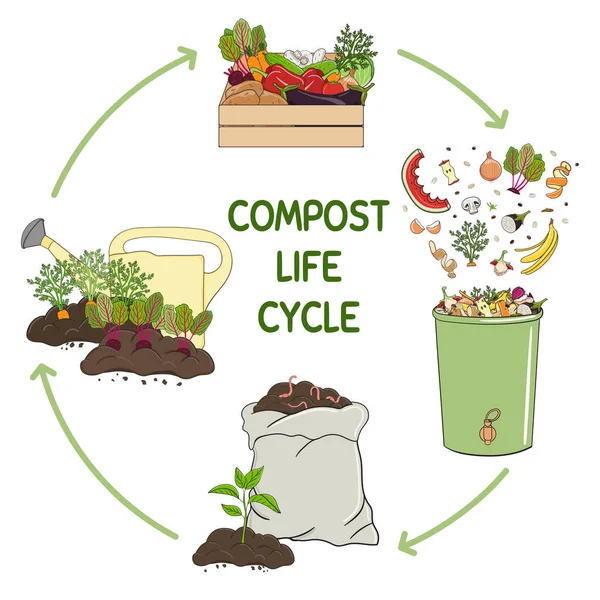 Infografía Del Círculo Vital Del Compost Proceso Compostaje Esquema Reciclaje — Archivo Imágenes Vectoriales