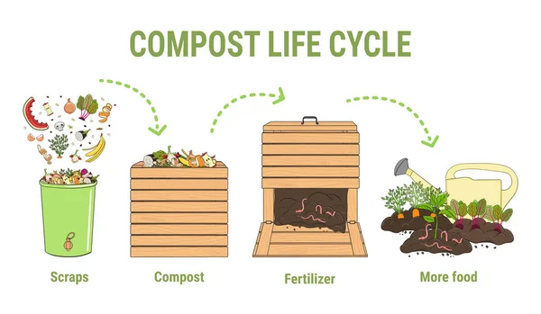 Infografie Životního Kruhu Kompostu Proces Kompostování Schéma Recyklace Organického Odpadu — Stockový vektor