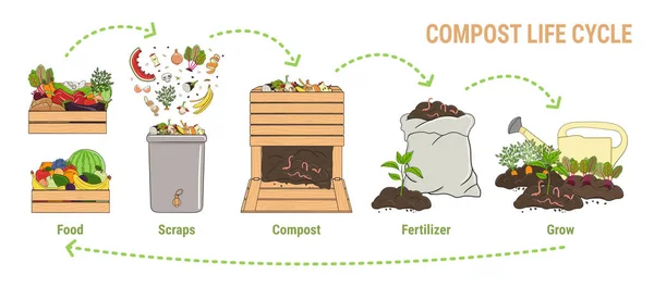 Infografika Kręgu Życia Kompostu Proces Kompostowania Schemat Recyklingu Odpadów Organicznych — Wektor stockowy