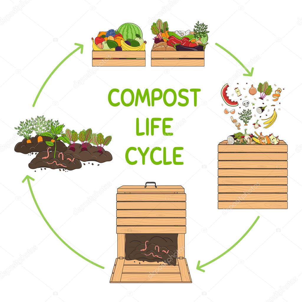 Compost life circle infographic. Composting process. Schema of recycling organic waste from collecting kitchen scraps to use compost for farming. Zero waste concept. Hand drawn vector illustration.