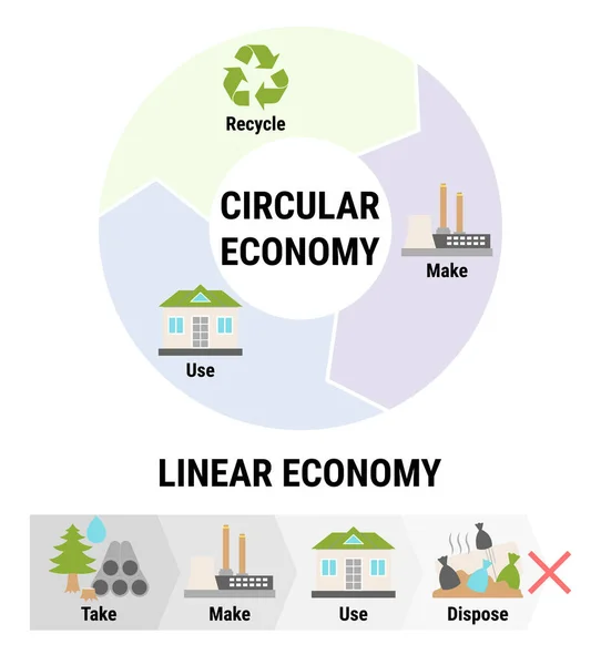 Comparación Infografía Economía Lineal Circular Modelo Negocio Sostenible Esquema Del — Vector de stock