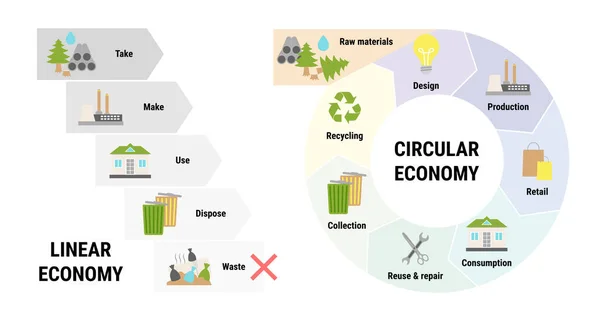 Comparação Infográfico Economia Linear Circular Modelo Negócio Sustentável Esquema Ciclo — Vetor de Stock