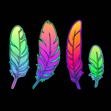 Dört renkli gökkuşağı tüyü.