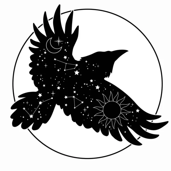 飞鸟的黑色轮廓 翅膀上有星空 — 图库矢量图片