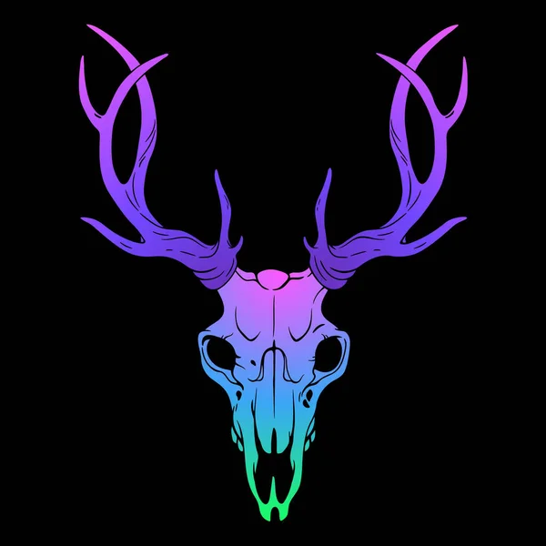 Rainbow Bright Deer Skull Black Background — Stock Vector