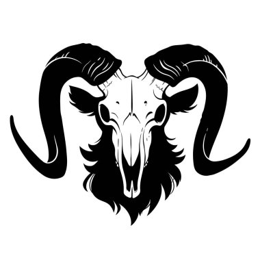 Siyah boynuzlu ve yünlü keçi kafatası