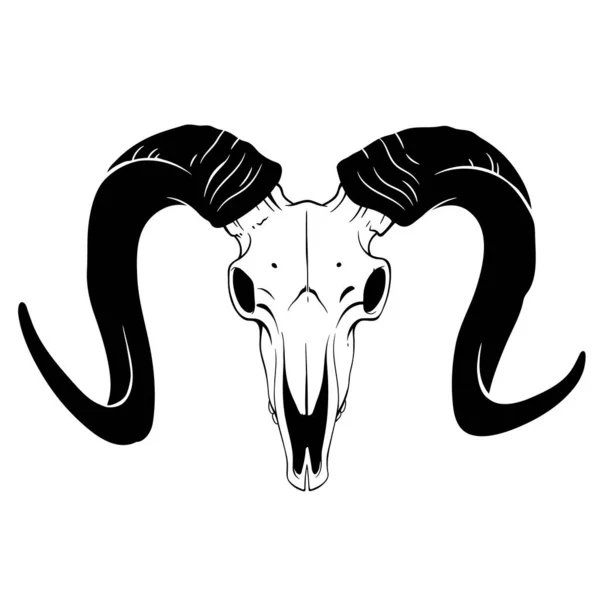 Crâne Chèvre Montagne Avec Cornes Noires — Image vectorielle