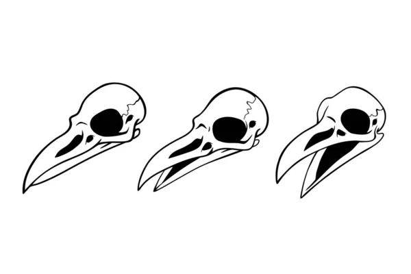 Serie Tre Semplici Teschi Uccello — Vettoriale Stock