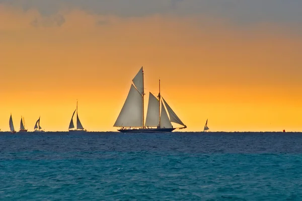 Regatta — Stock Photo, Image