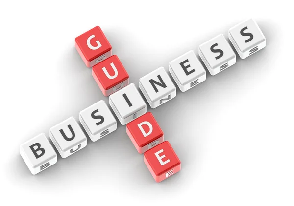 Business guide buzzword — Stock Photo, Image