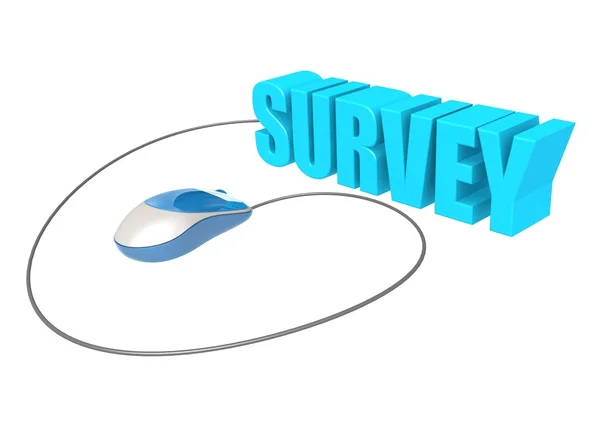 Computer mouse and survey — Stock Photo, Image