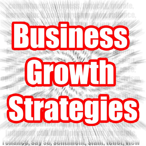 Στρατηγικές ανάπτυξης επιχειρήσεων — Φωτογραφία Αρχείου