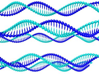 DNA özelliği