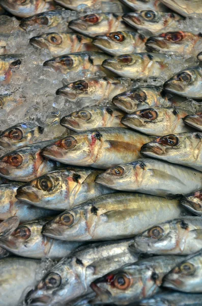 Vissen op de markt — Stockfoto