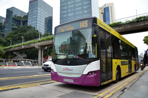Veřejný autobus v Singapuru — Stock fotografie