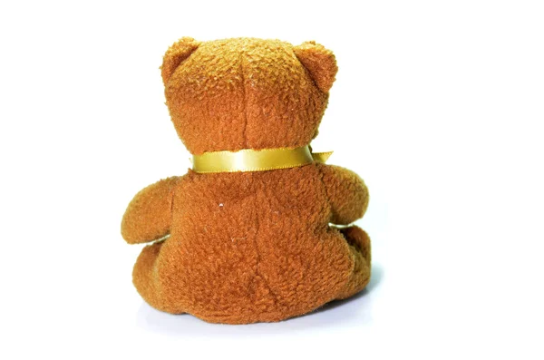 Bear isolated — Stock Photo, Image