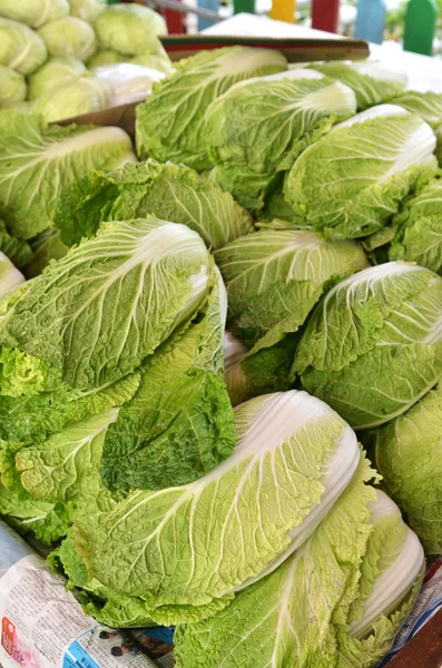 Chinese lettuce on sale — Stock Photo, Image