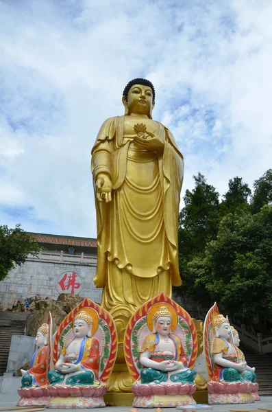 Giant Standing Buddha — Stock Photo, Image