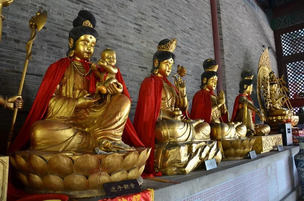 Yin guan Buddha — Foto Stock