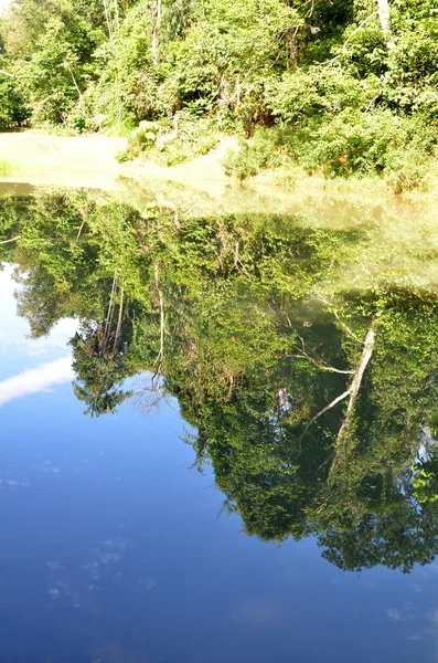 Reflectie van groene bos op lake in ochtend — Stockfoto