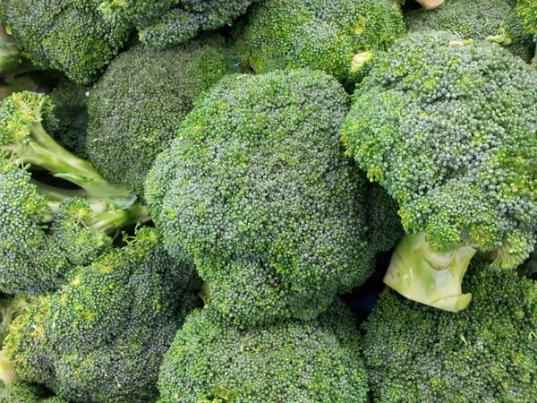 Broccoli — Stock Photo, Image