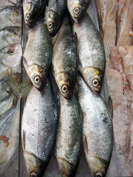 Mercado de pescado — Foto de Stock