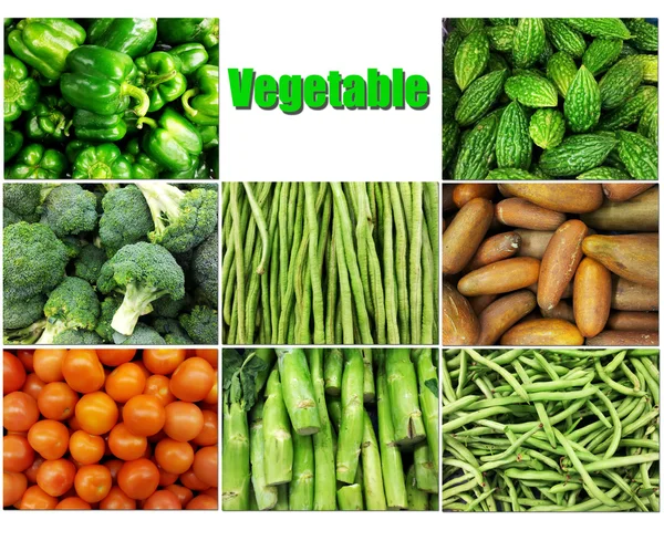 Vegetal — Fotografia de Stock