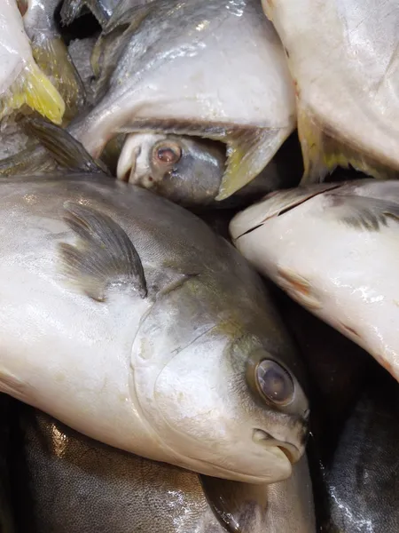 Pescado fresco en el mercado — Foto de Stock