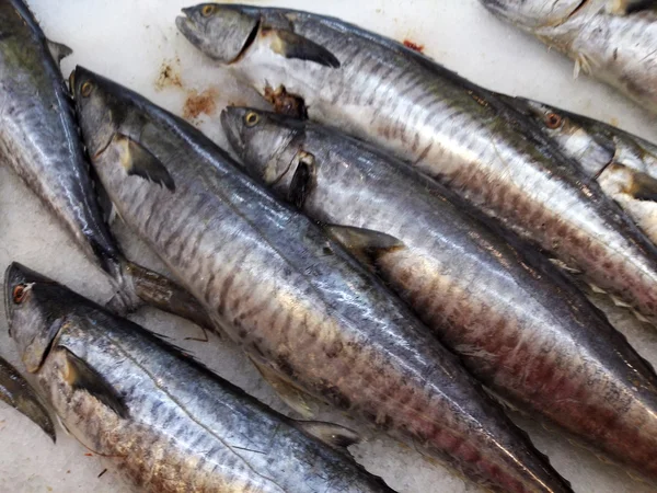 Pescado fresco en el mercado — Foto de Stock