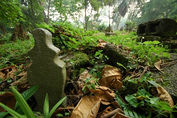 Stary cmentarz-Malajski — Zdjęcie stockowe