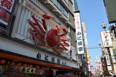Dotonbori Osaka başlıca turistik yerlerinden biridir