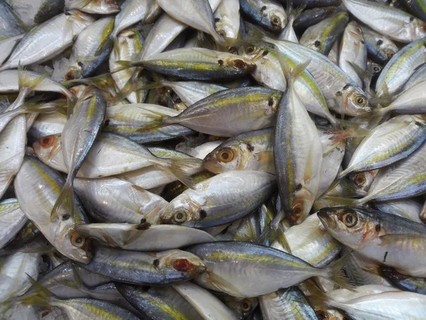 Silago pescado en el mercado con hielo, listo para la venta — Foto de Stock