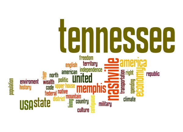 Tennessee word cloud — Stockfoto