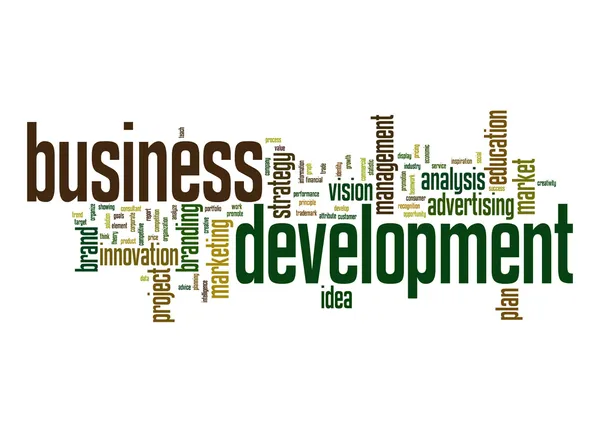 Desarrollo empresarial word cloud — Foto de Stock