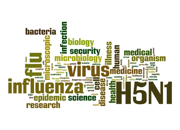 H5N1 λέξη σύννεφο — Φωτογραφία Αρχείου