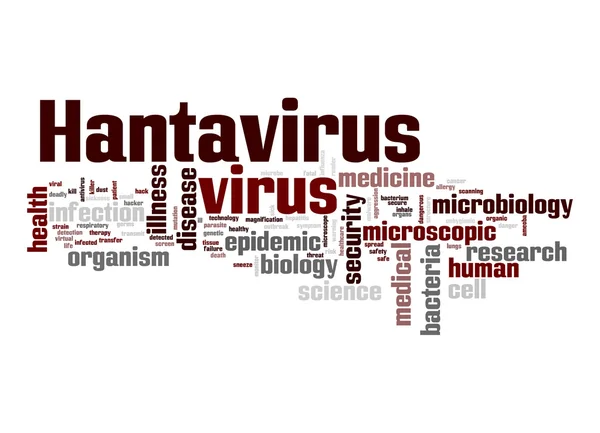 Hantavirus வைரஸ் வார்த்தை மேகம் — ஸ்டாக் புகைப்படம்