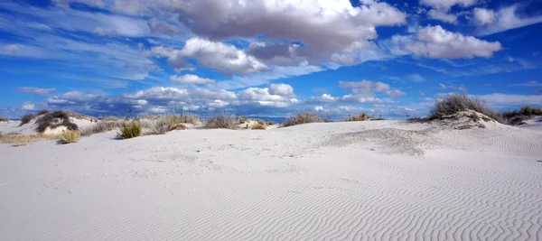 Fehér homok, Új-Mexikó — Stock Fotó