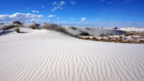 White Sands, Novo México — Fotografia de Stock